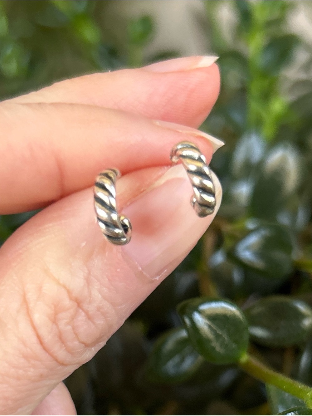 Sterling Silver Classic Twisted Hoop Earrings